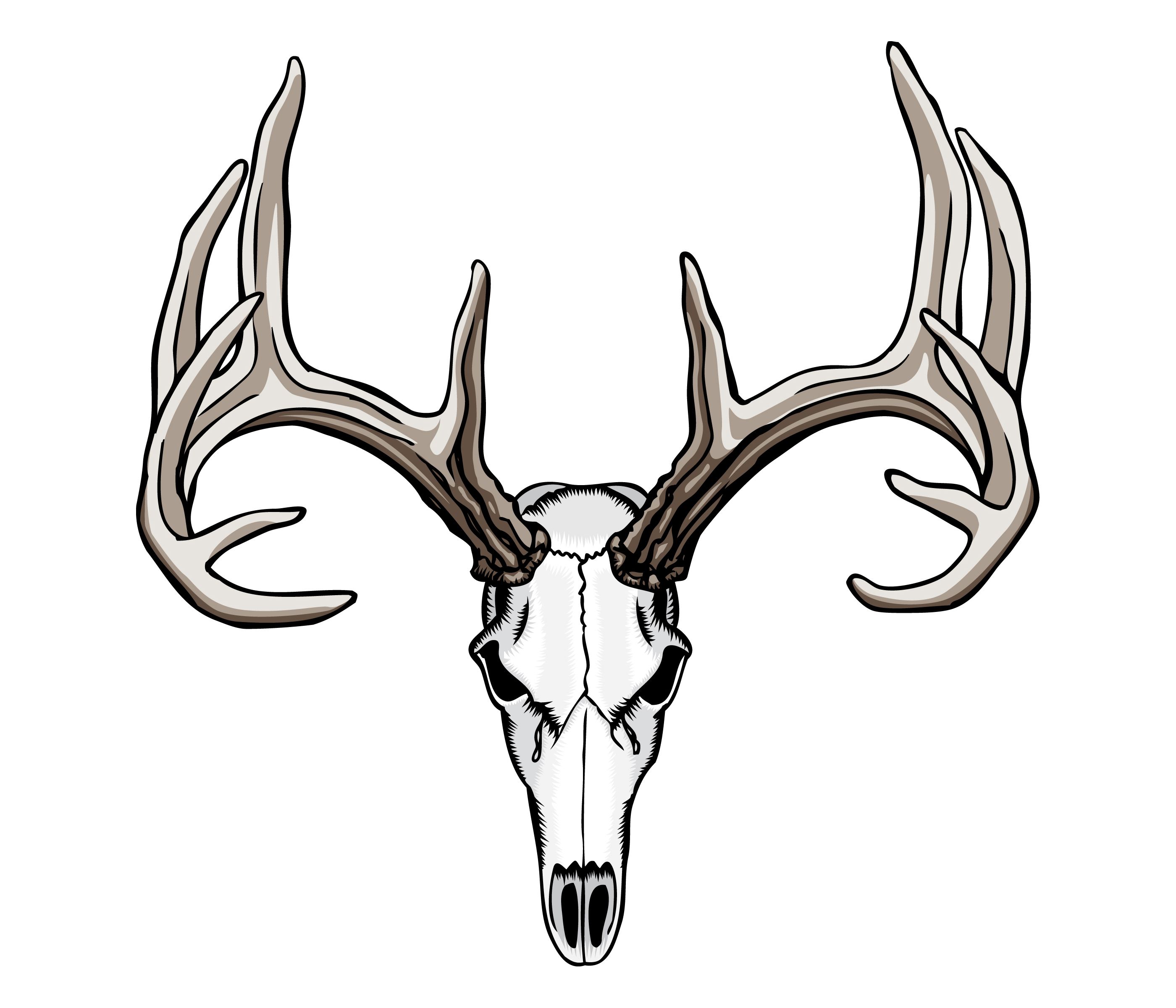 Red Deer Skull Wallpapers