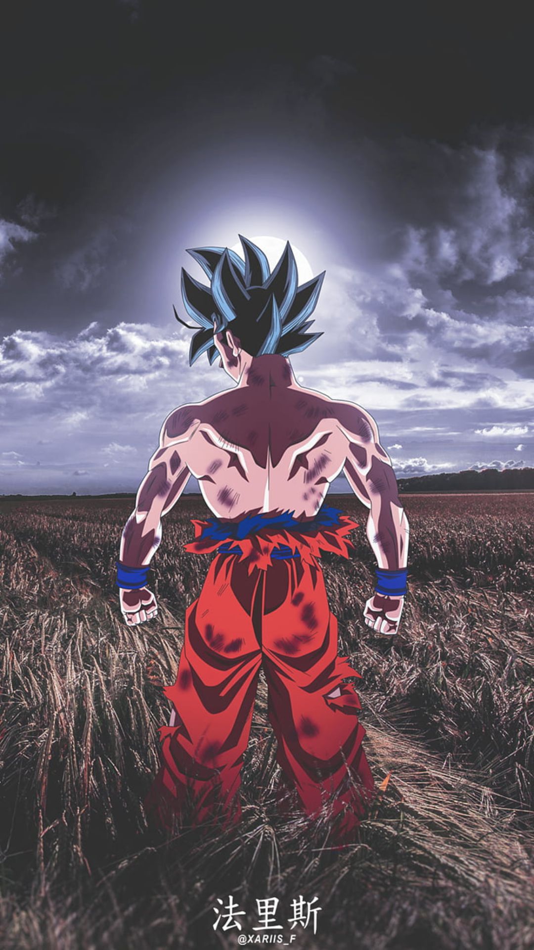 Red Dragon Ball Z Wallpapers