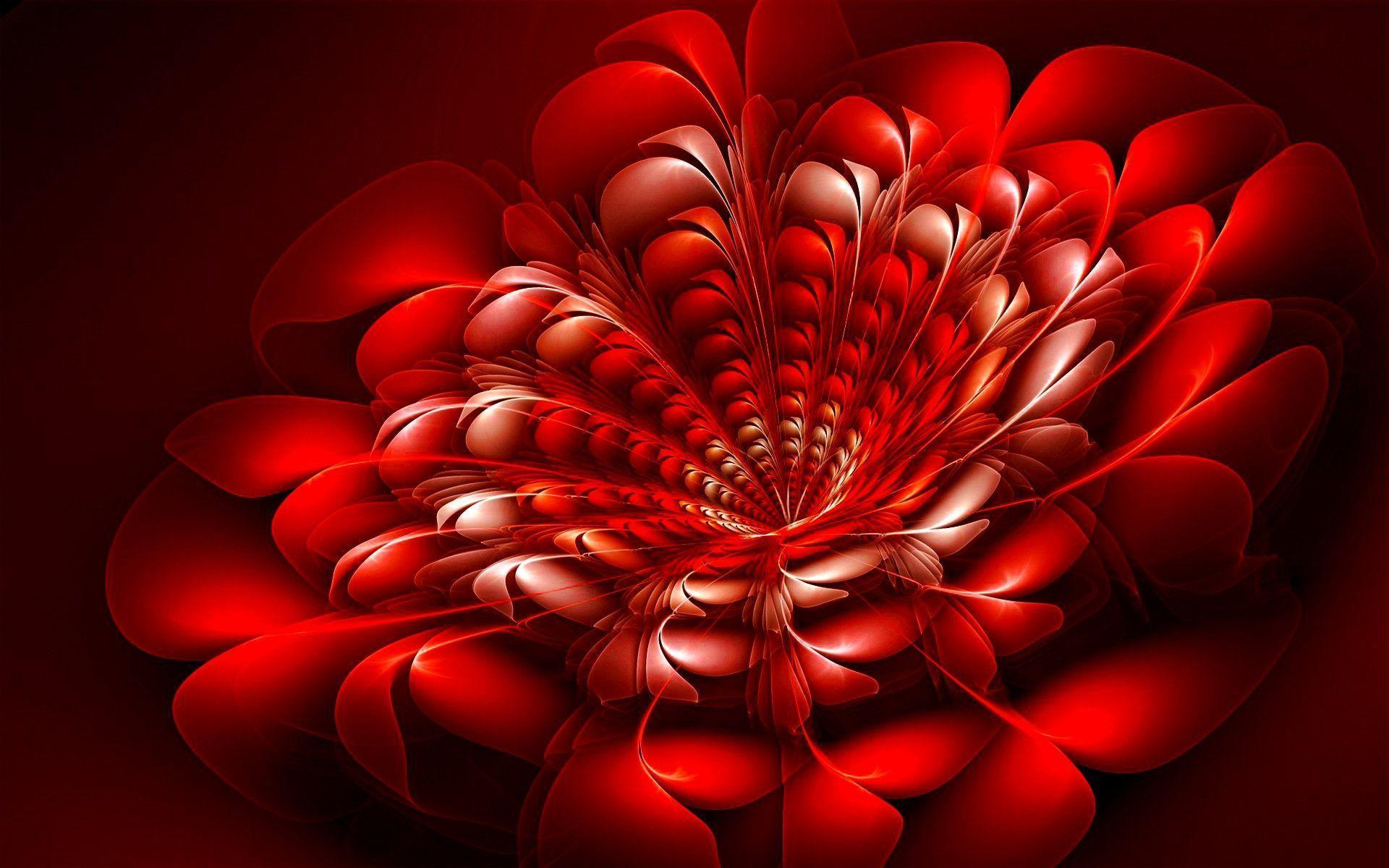 Red Flower Wallpapers