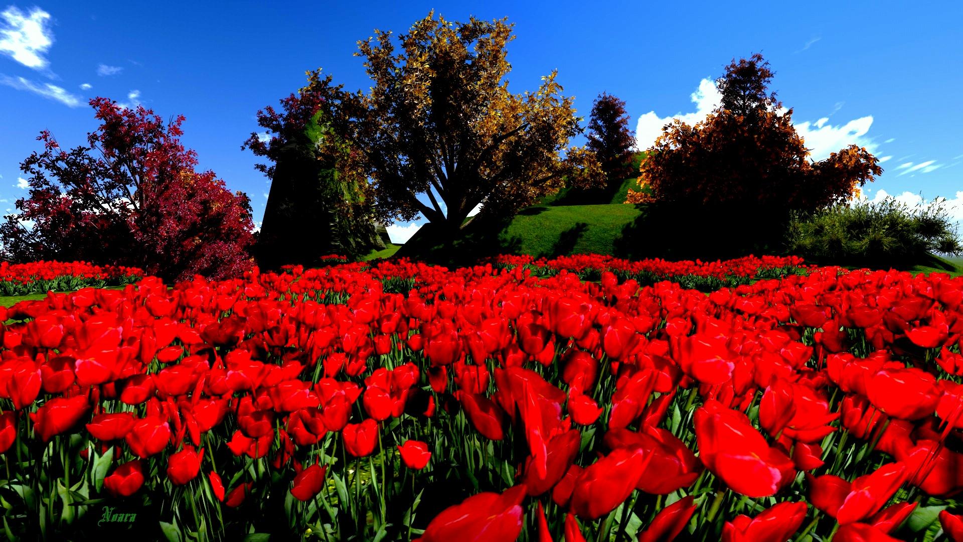 Red Flower Wallpapers