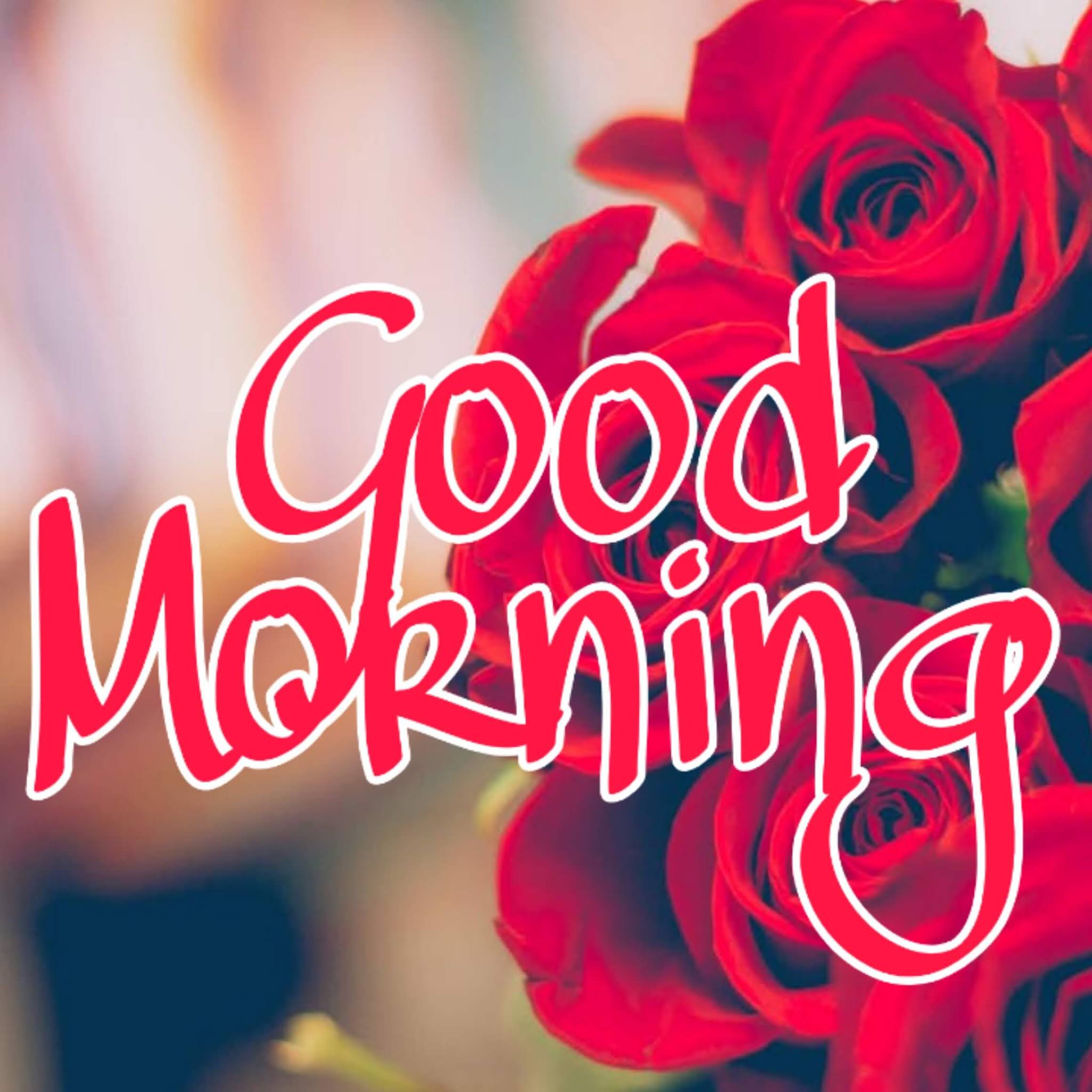 Red Good Morning Wallpapers