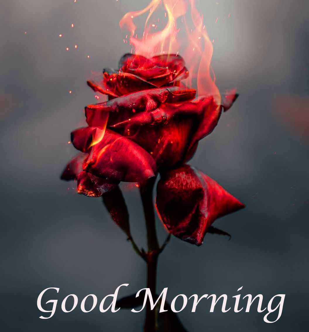 Red Good Morning Wallpapers