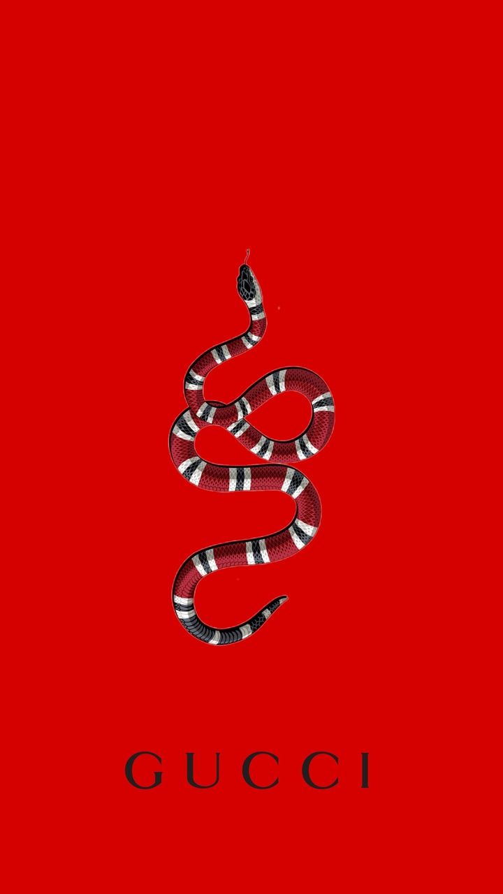 Red Gucci Wallpapers