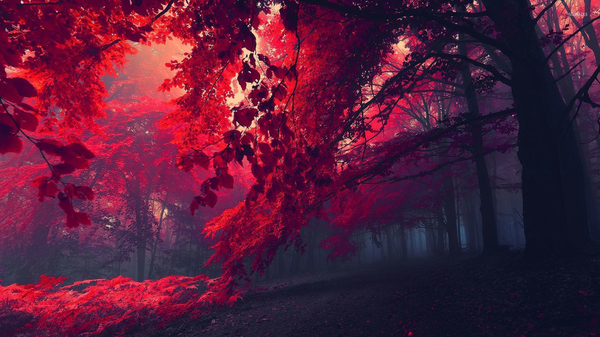 Red Landscape Wallpapers