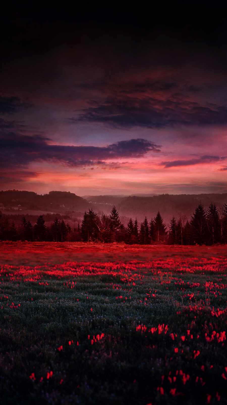 Red Landscape Wallpapers