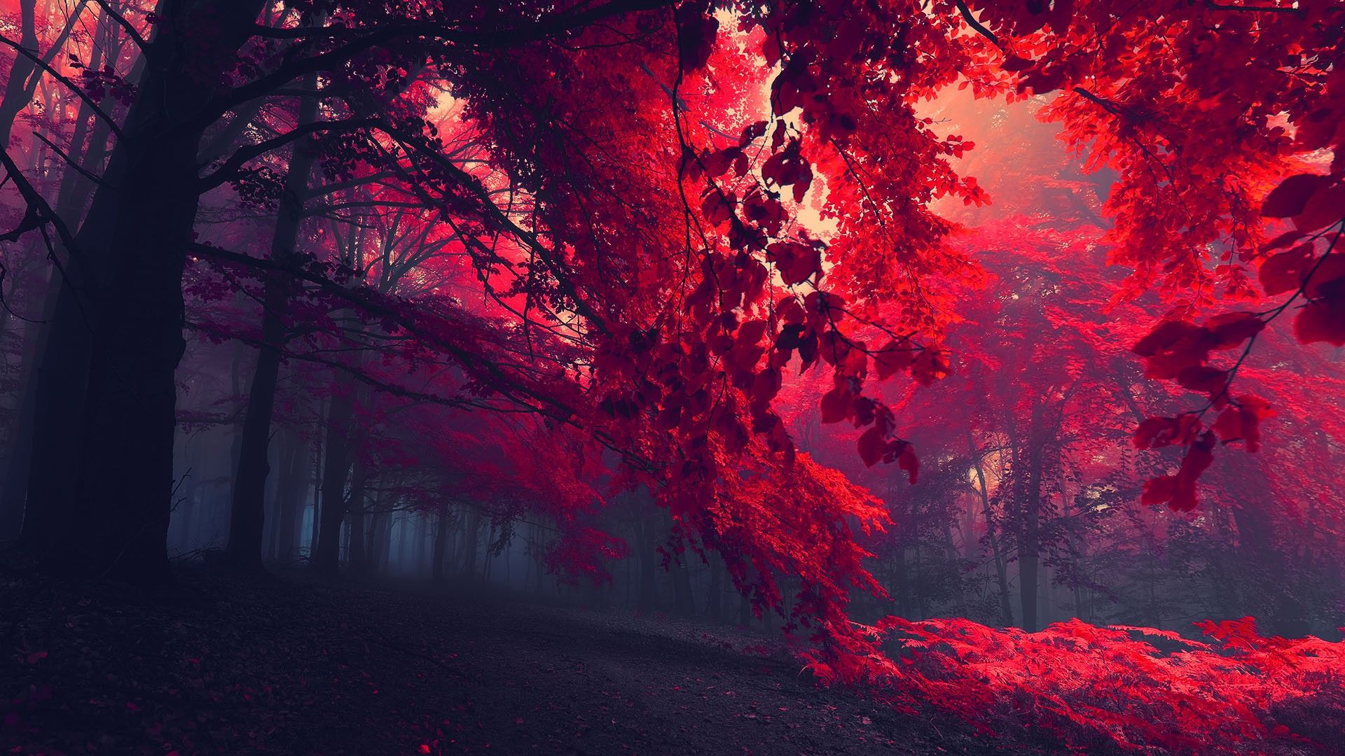 Red Nature Wallpapers