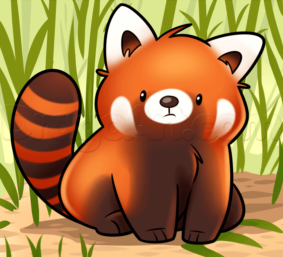 Red Panda Anime Wallpapers