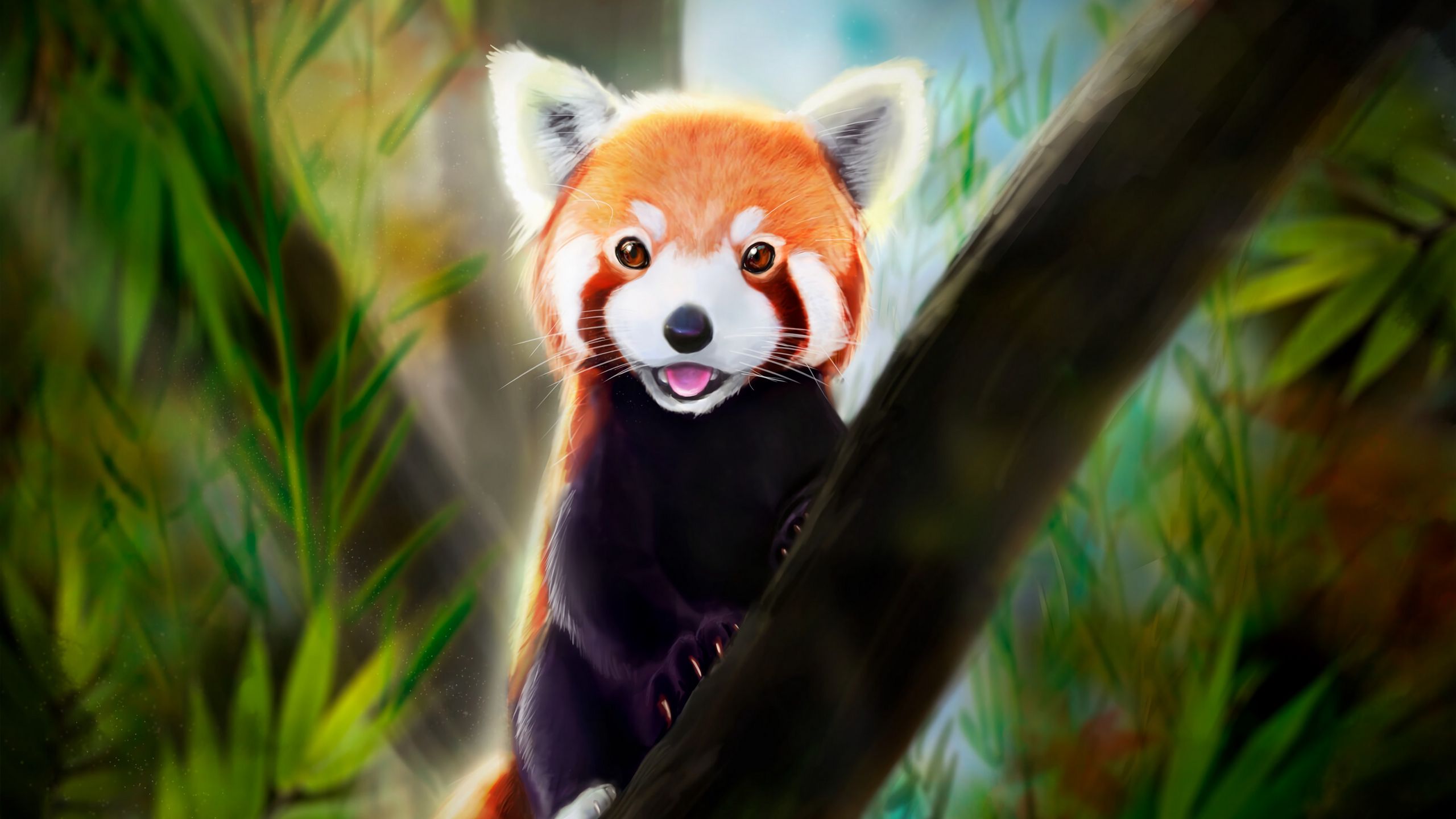 Red Panda Cute Wallpapers