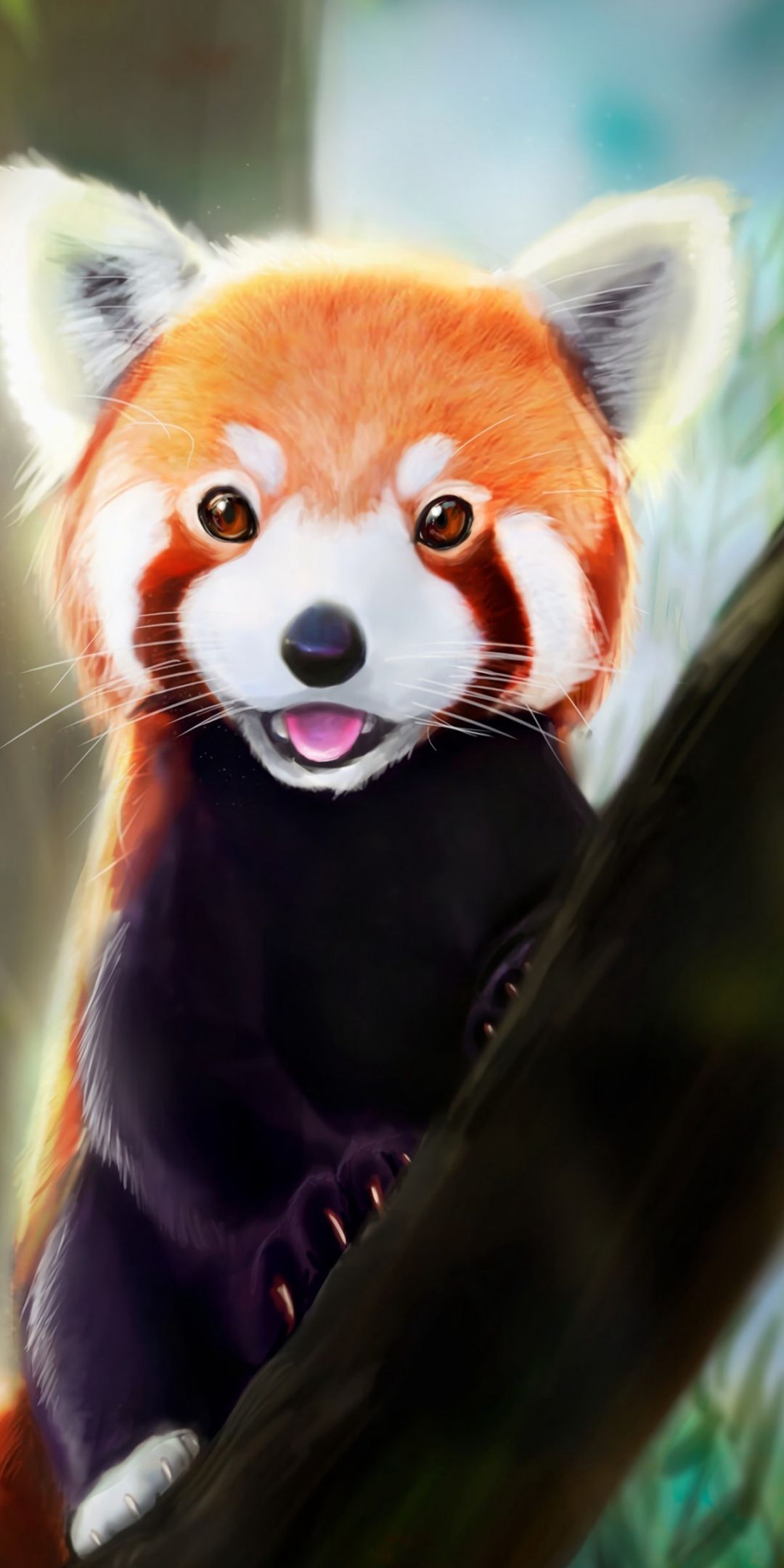 Red Panda Cute Iphone Wallpapers