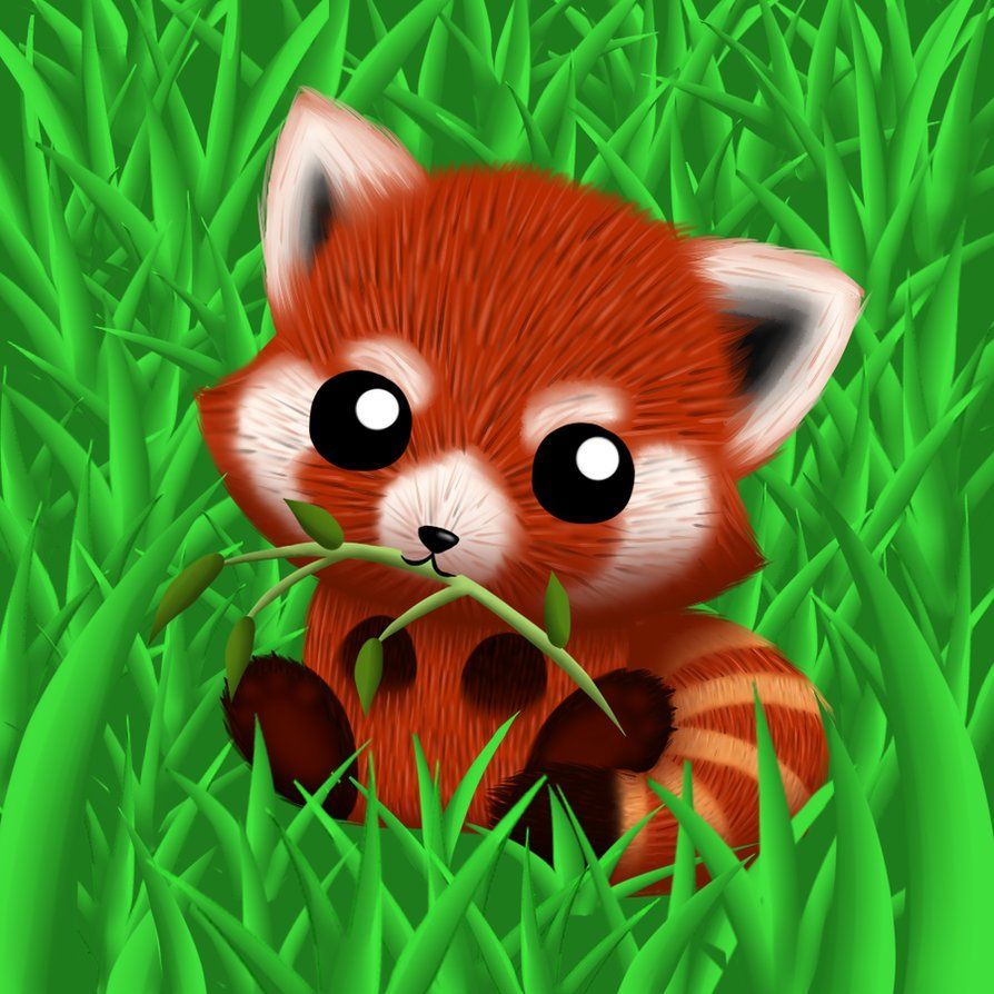 Red Panda Cute Iphone Wallpapers