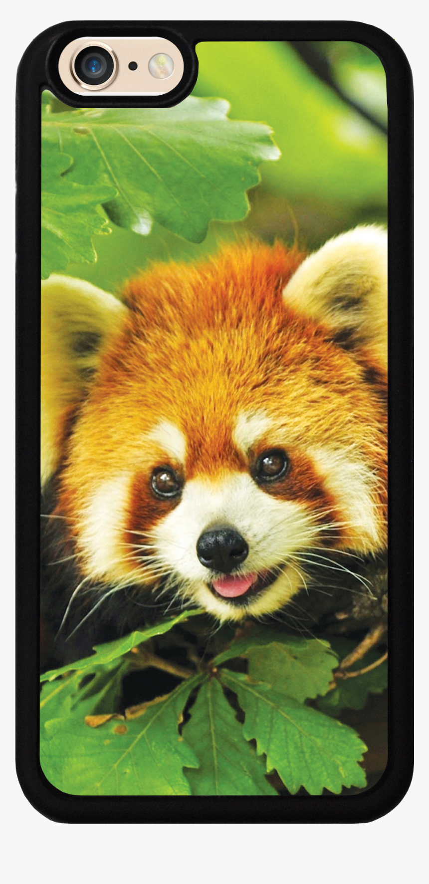 Red Panda Cute Iphone Wallpapers