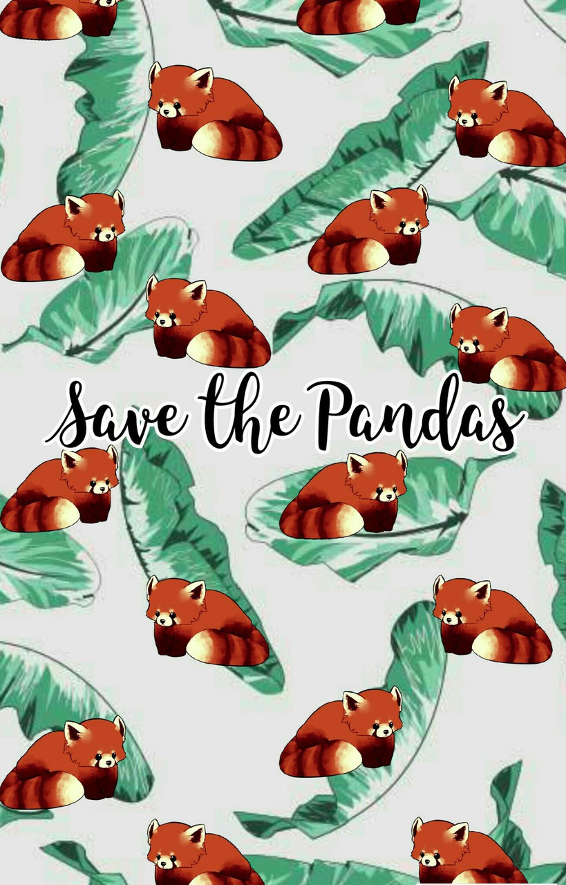 Red Panda Cute Iphone Wallpapers