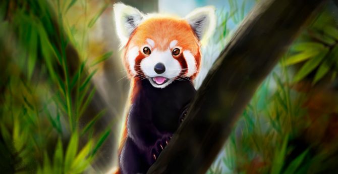 Red Panda Kawaii Wallpapers