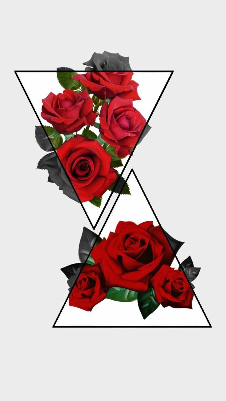 Red Rose Aesthetic Wallpapers