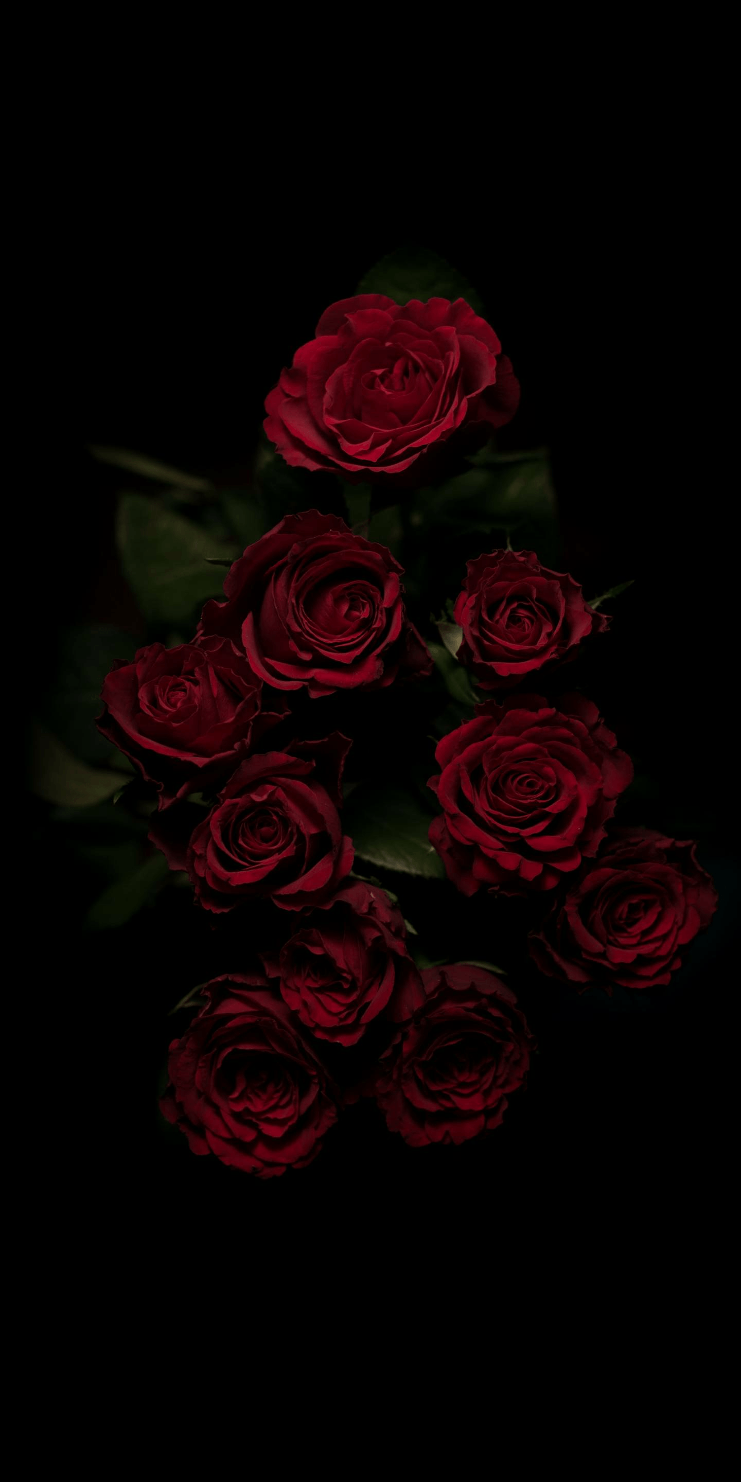 Red Rose Aesthetic Wallpapers