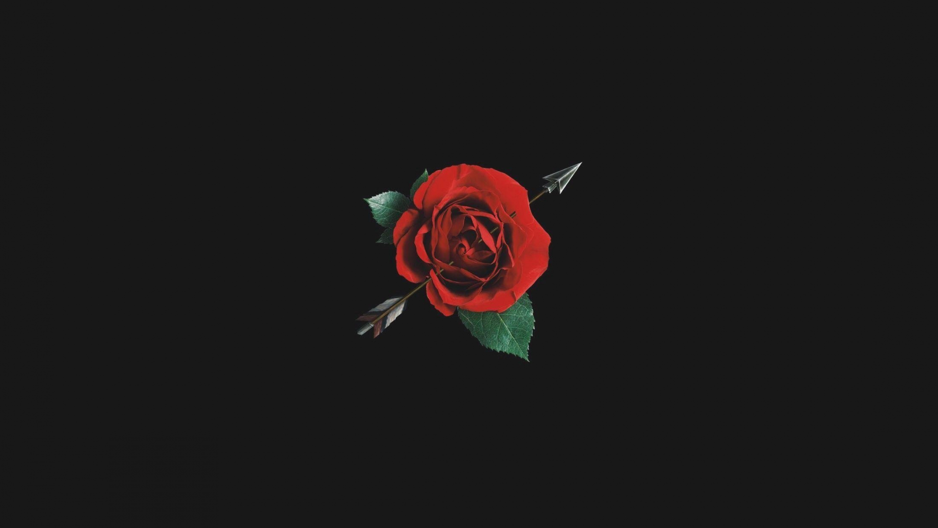 Red Rose Aesthetic Computer Wallpapers