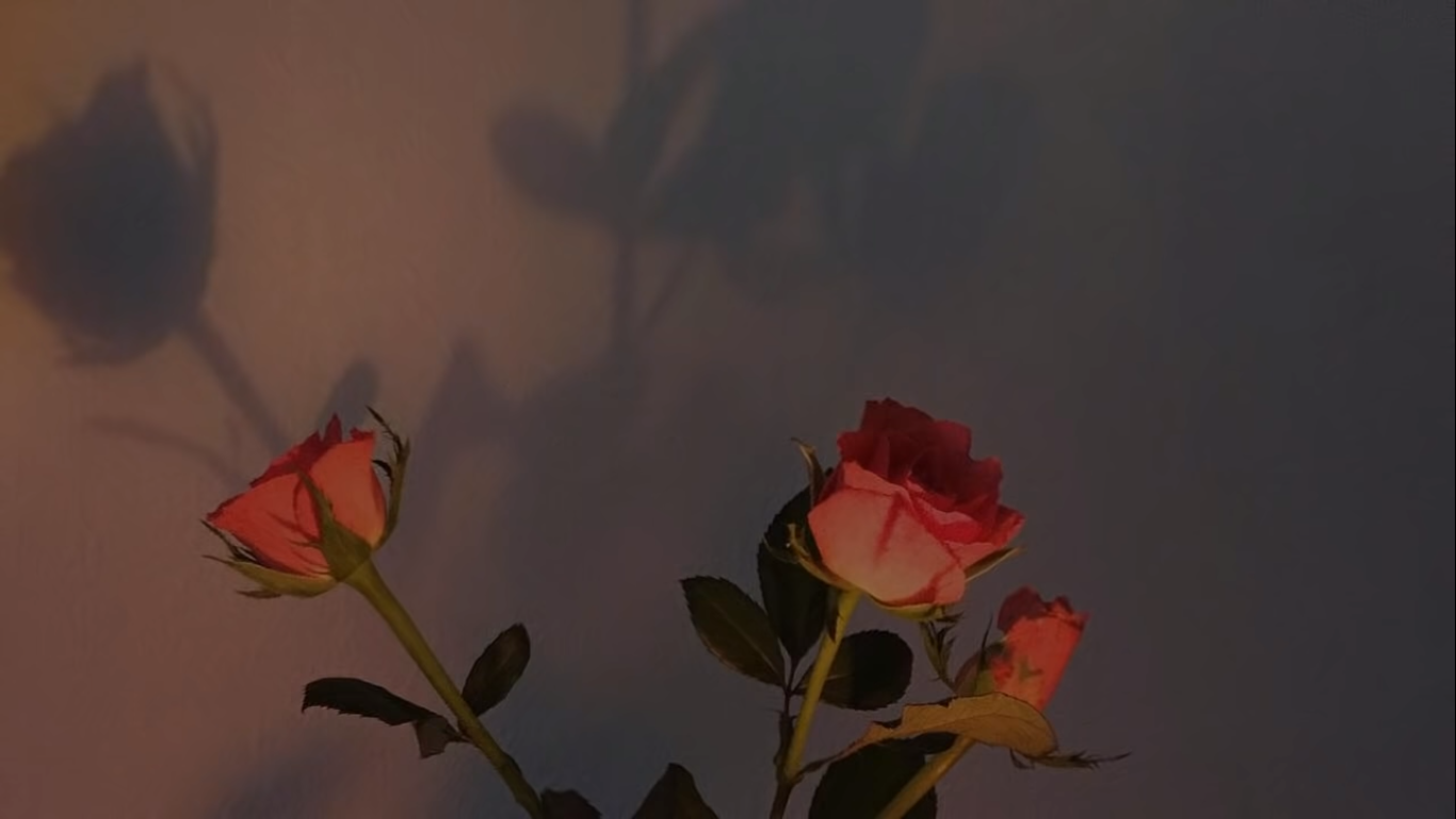 Red Rose Aesthetic Computer Wallpapers