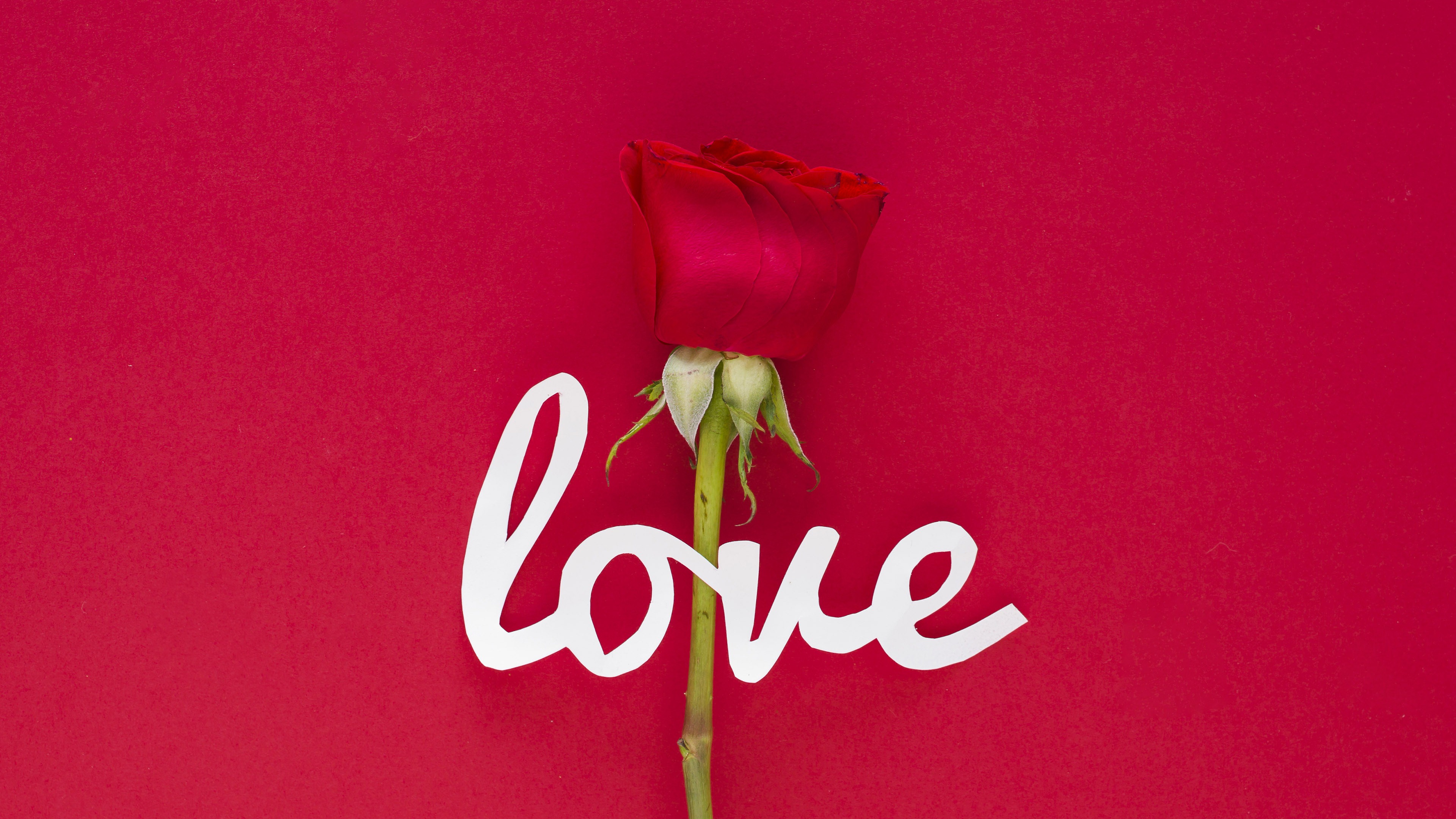 Red Rose Love Wallpapers