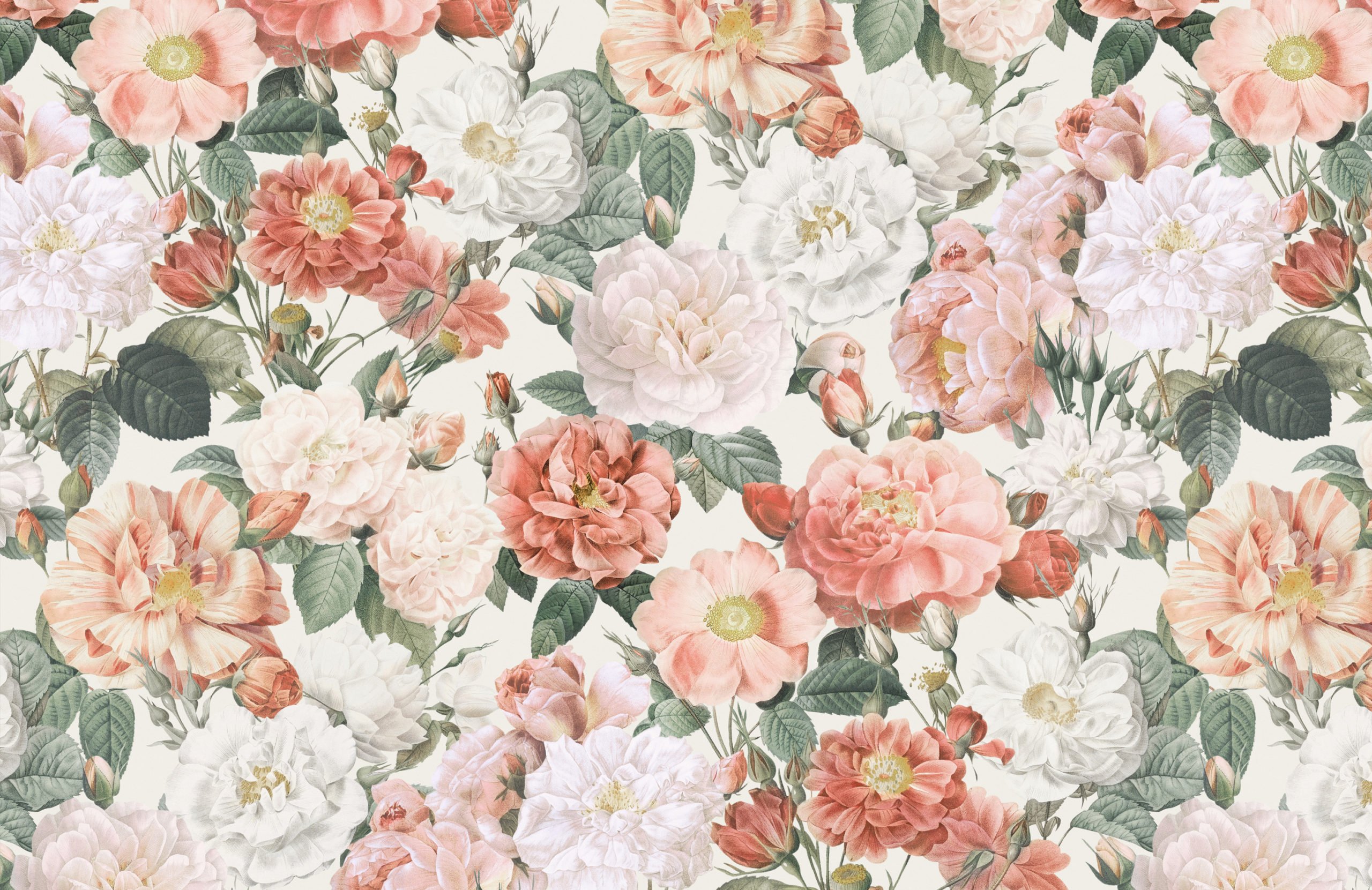 Red Rose Vintage Wallpapers