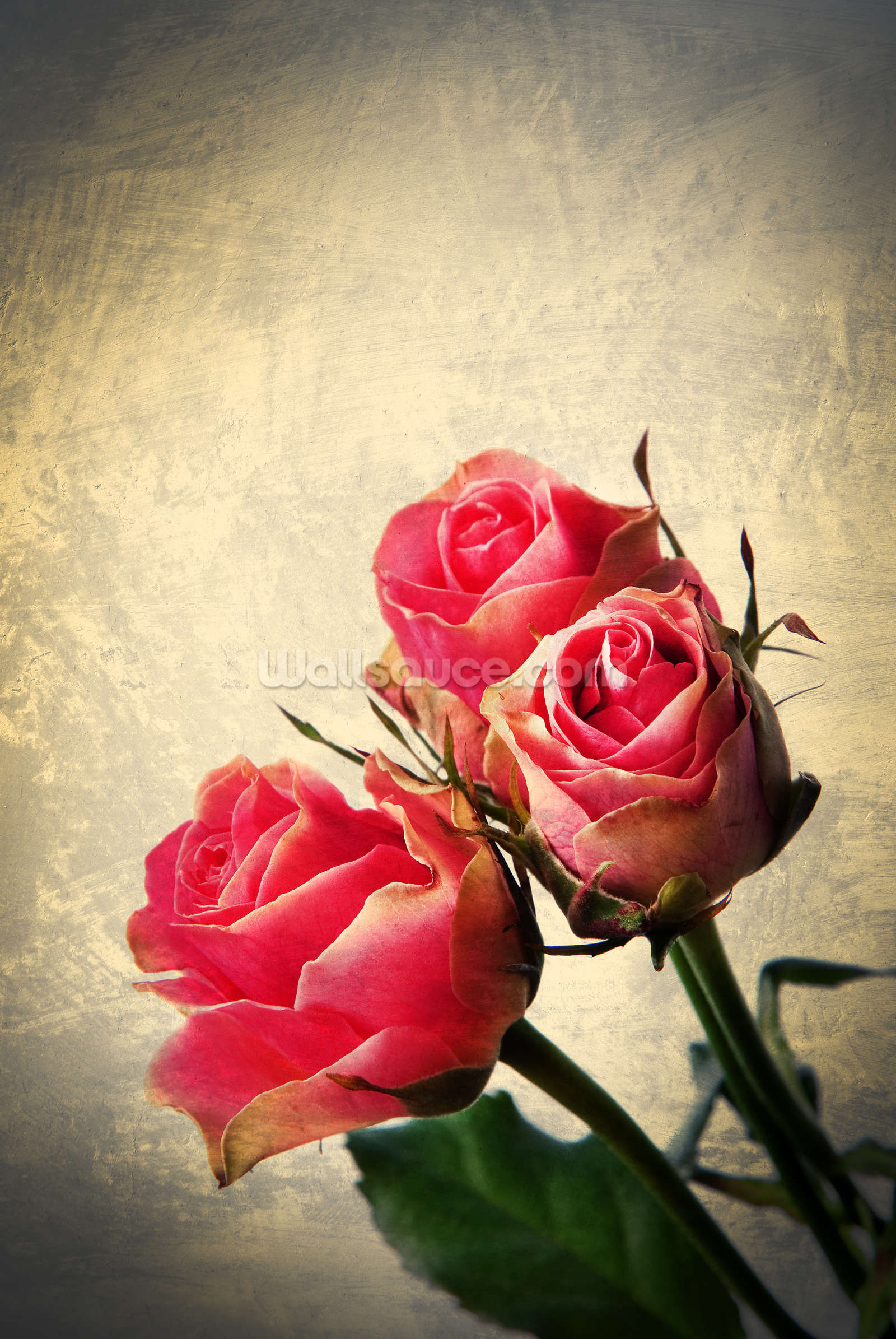 Red Rose Vintage Wallpapers