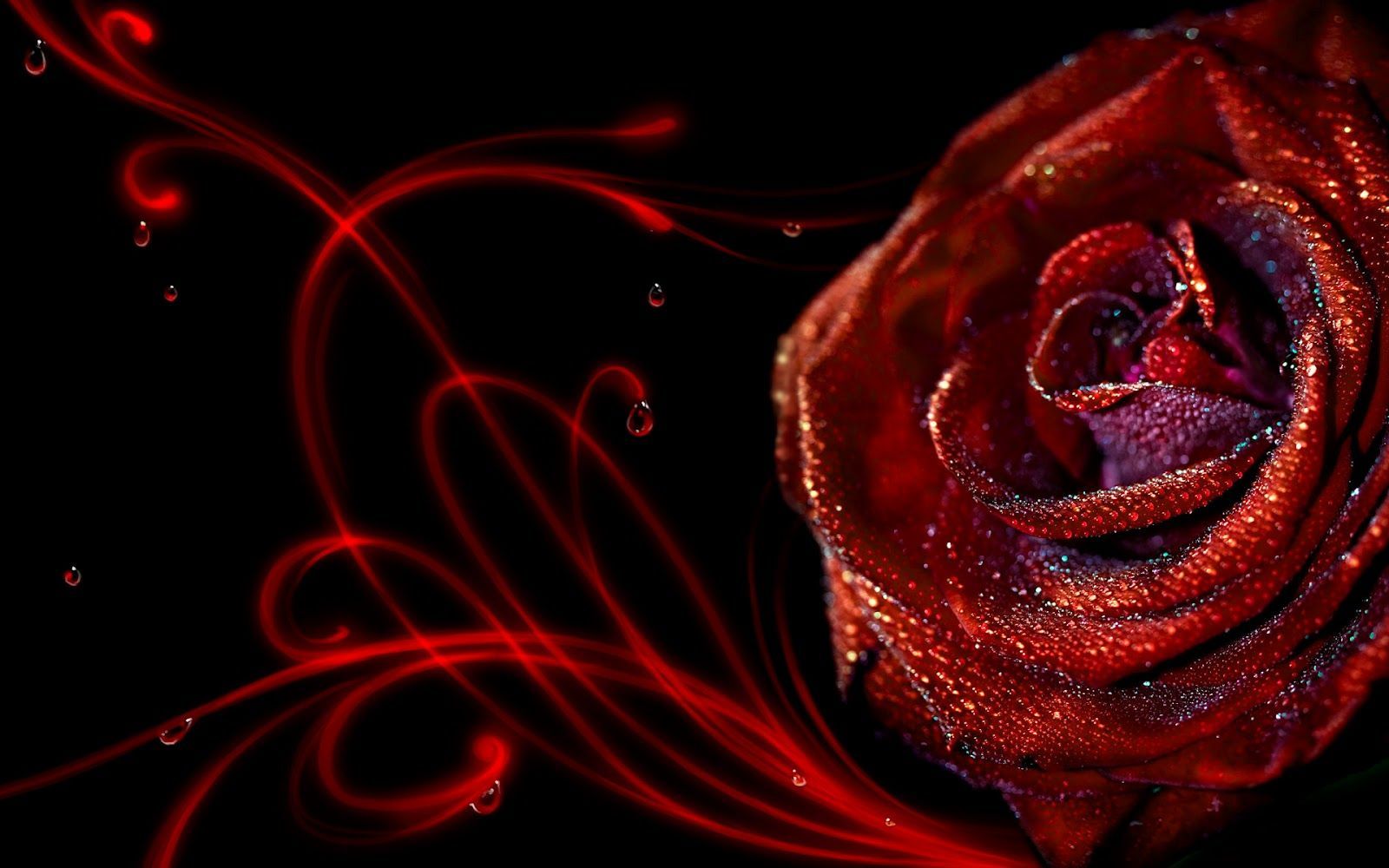 Red Roses Art Wallpapers