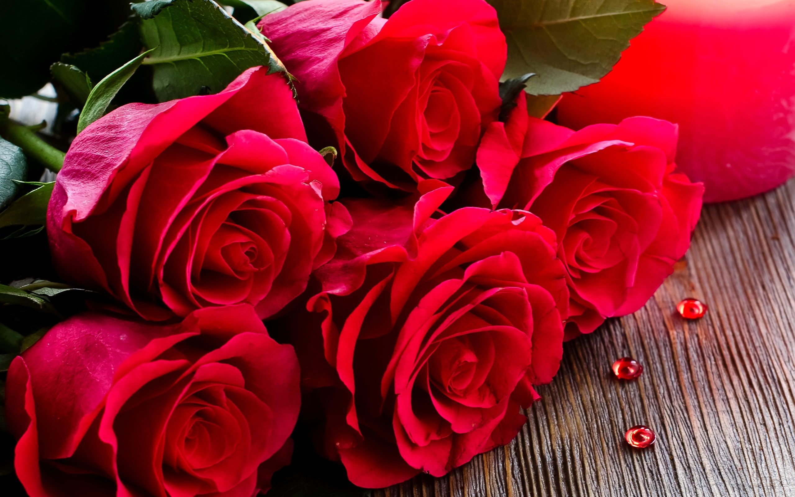 Red Roses Hd Wallpapers