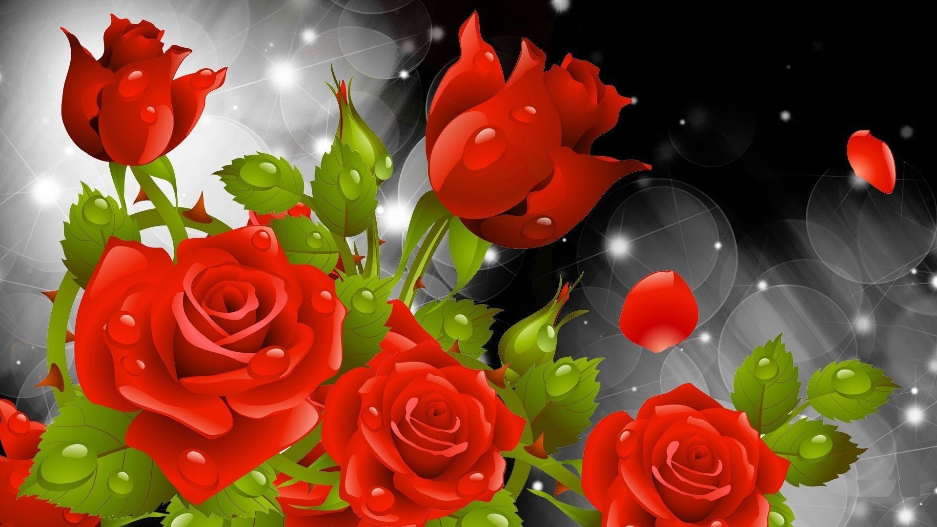 Red Roses Hd Wallpapers