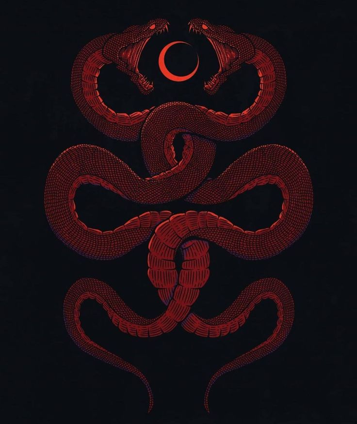 Red Snake Aesthetics Wallpapers