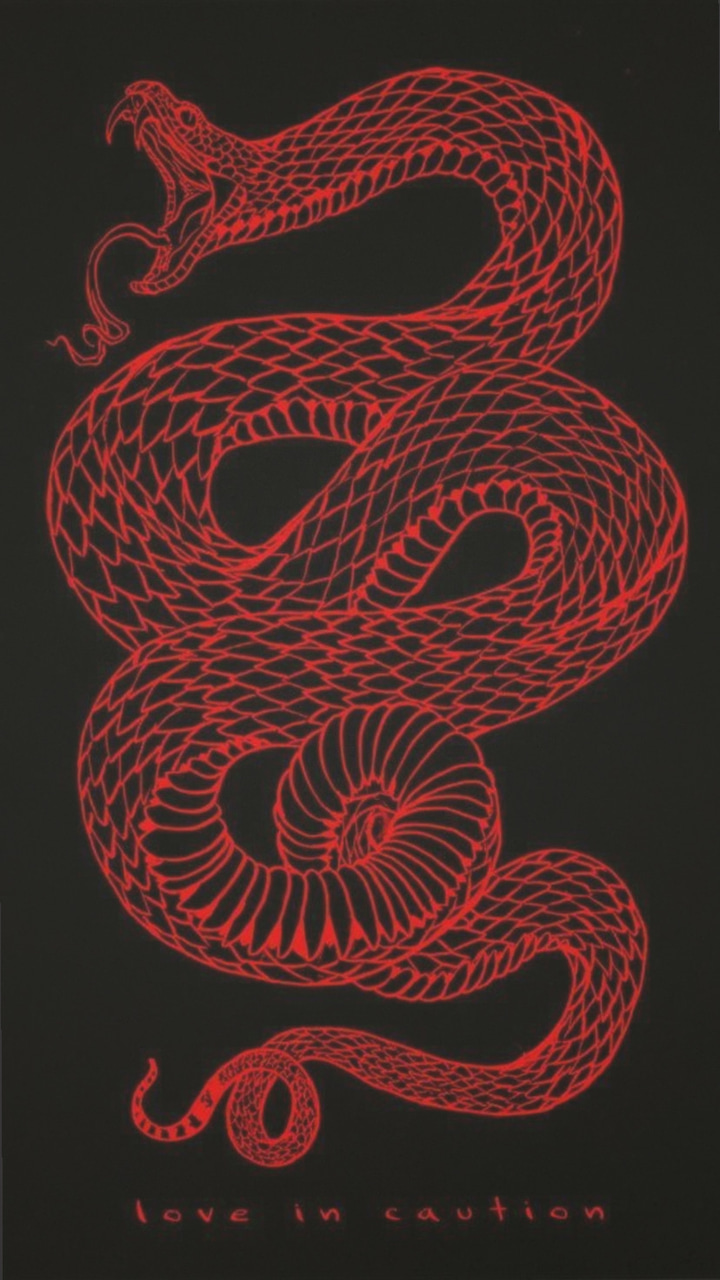 Red Snake Aesthetics Wallpapers