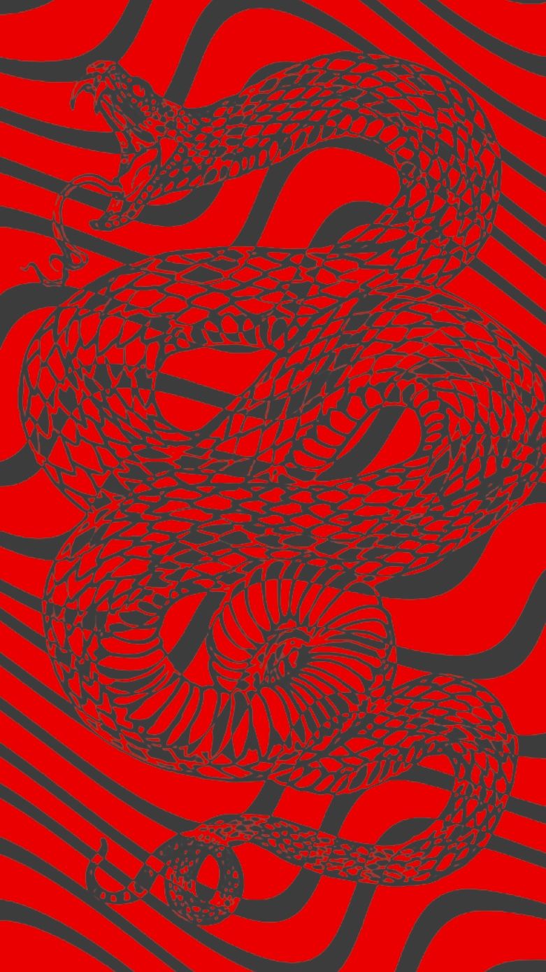 Red Snake Aesthetics Wallpapers