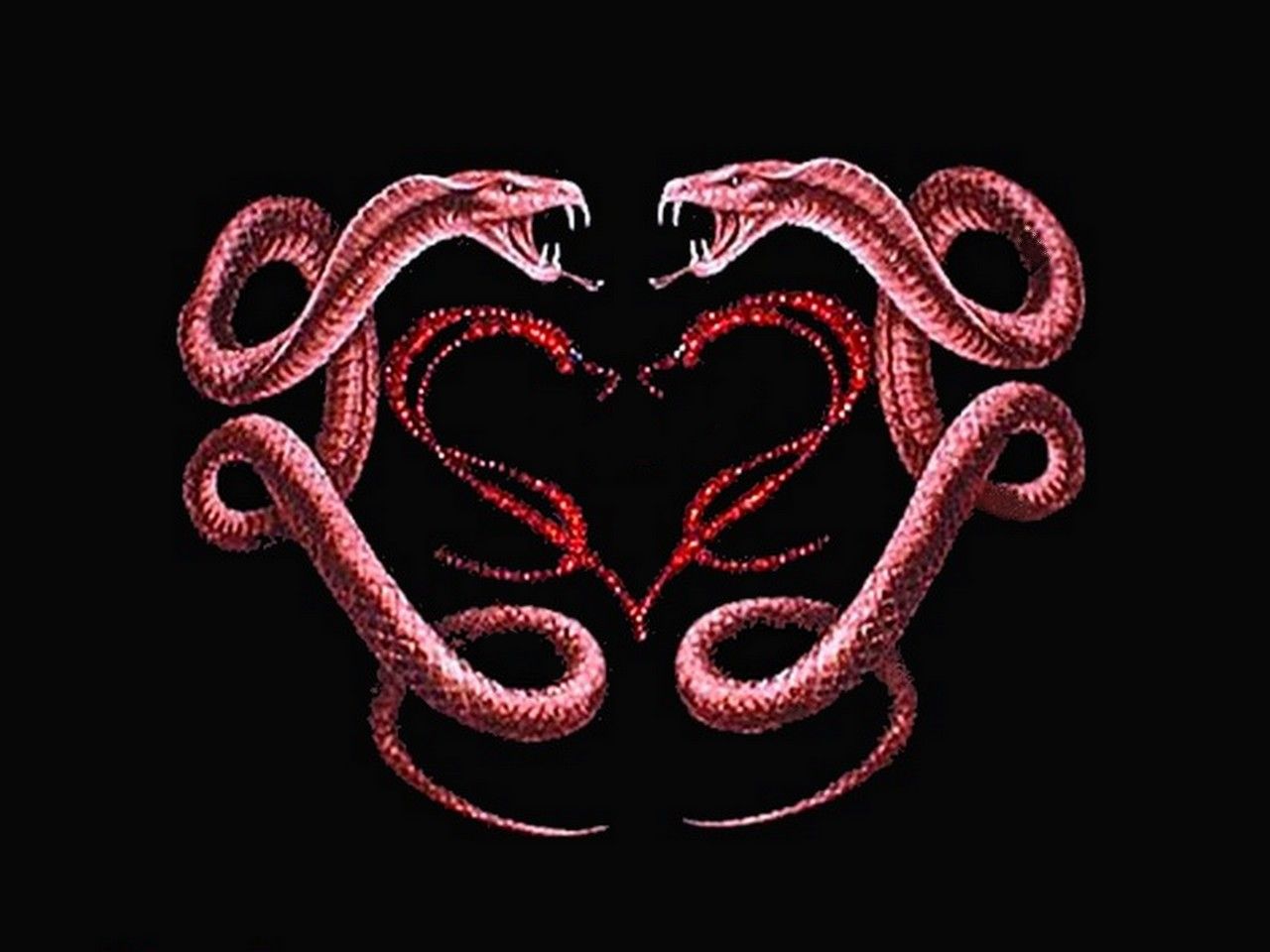 Red Snakes Wallpapers