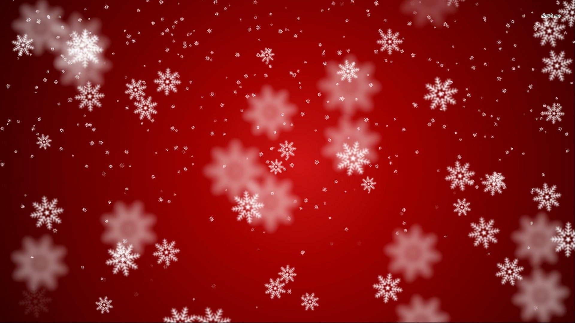 Red Snowflake Wallpapers