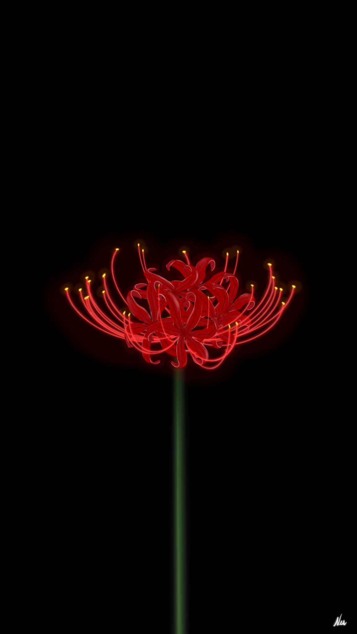 Red Spider Lily Wallpapers