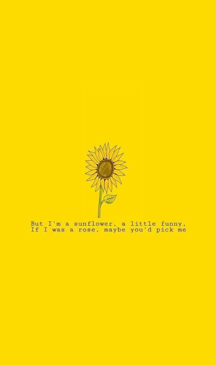 Yellow Aesthetic Quotes Wallpapers