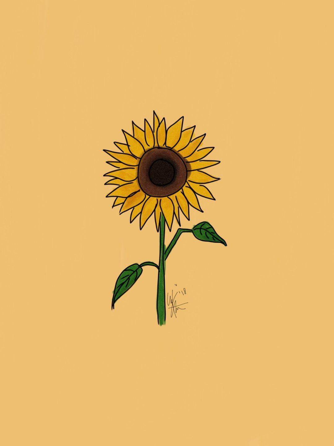 Yellow Aesthetic Sunflower Wallpapers