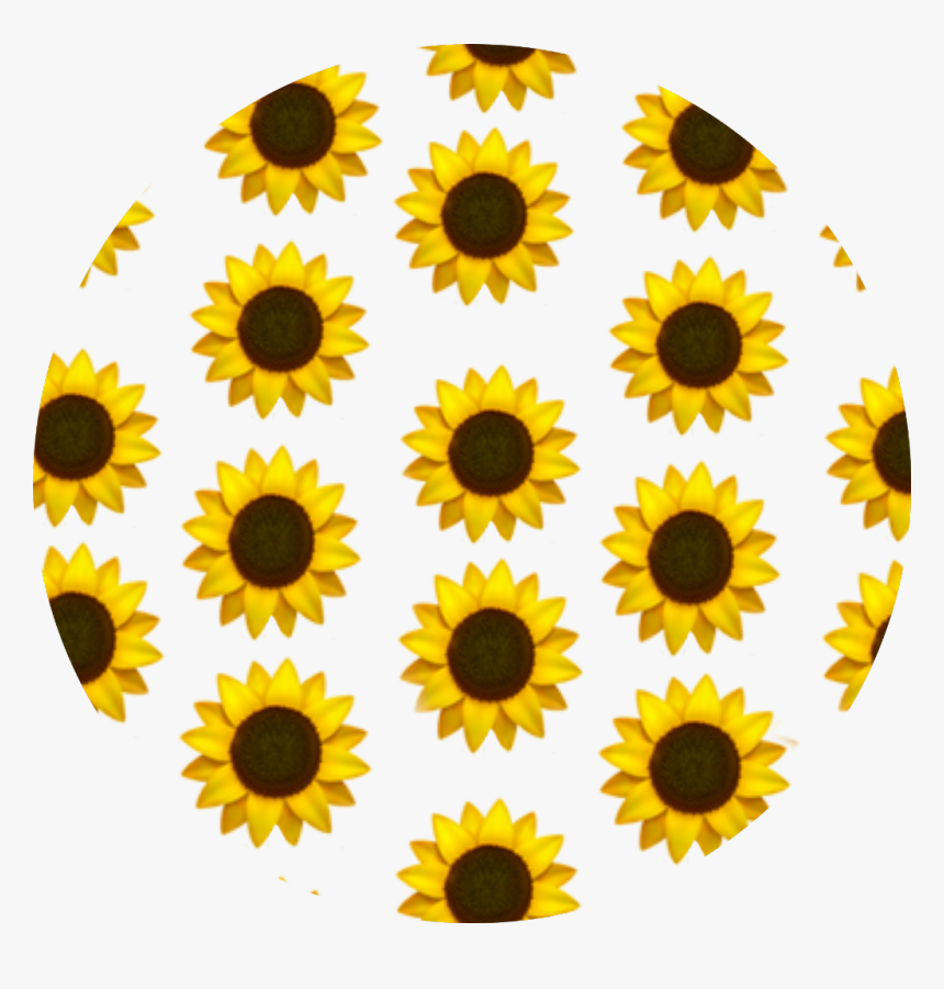 Yellow Aesthetic Sunflower Wallpapers