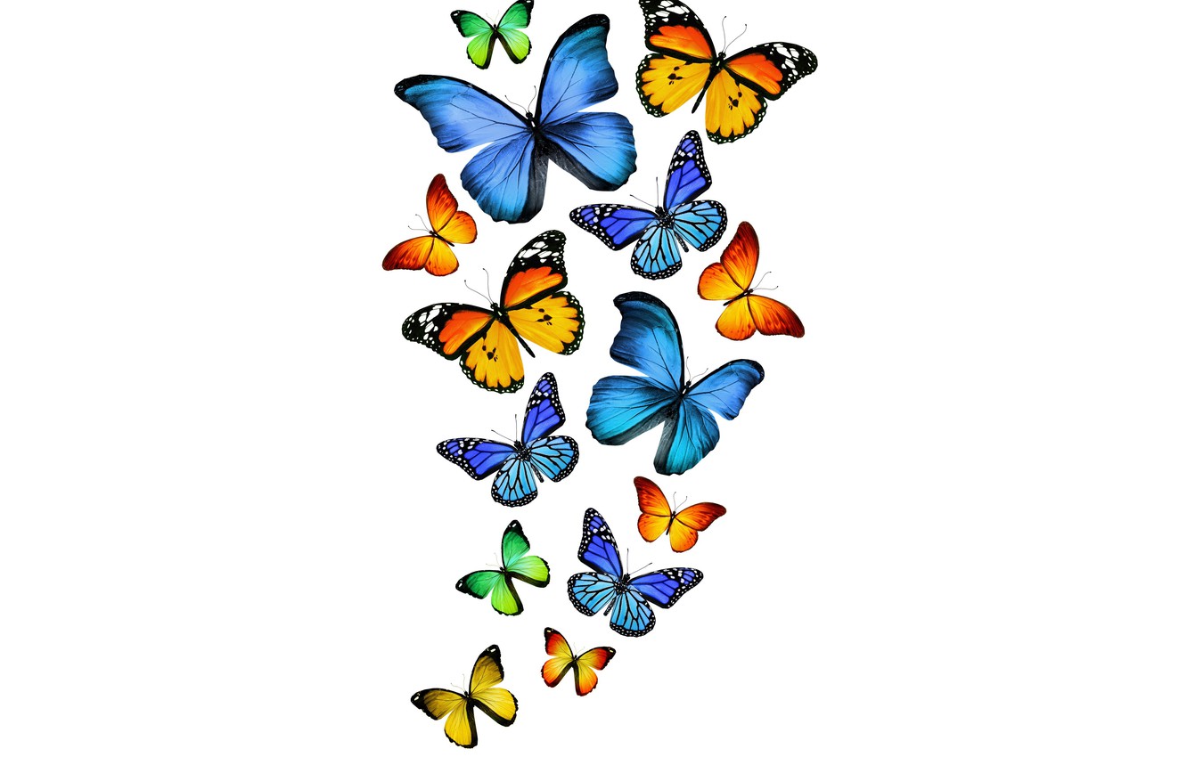 Yellow And Blue Butterfly Wallpapers