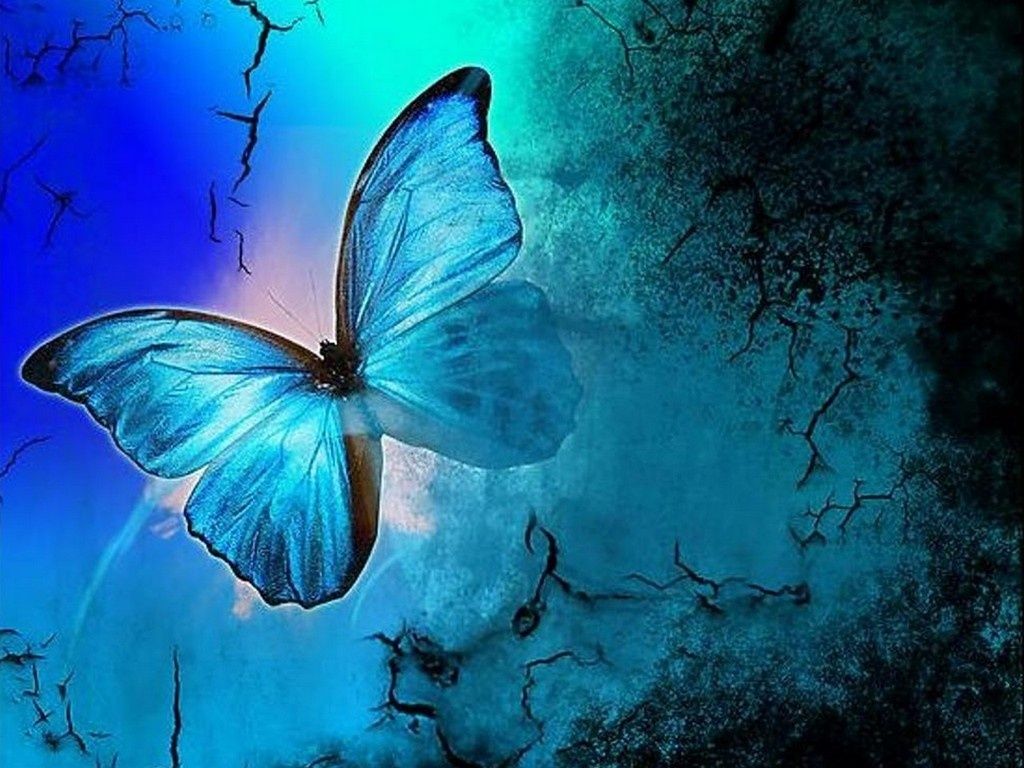 Yellow And Blue Butterfly Wallpapers