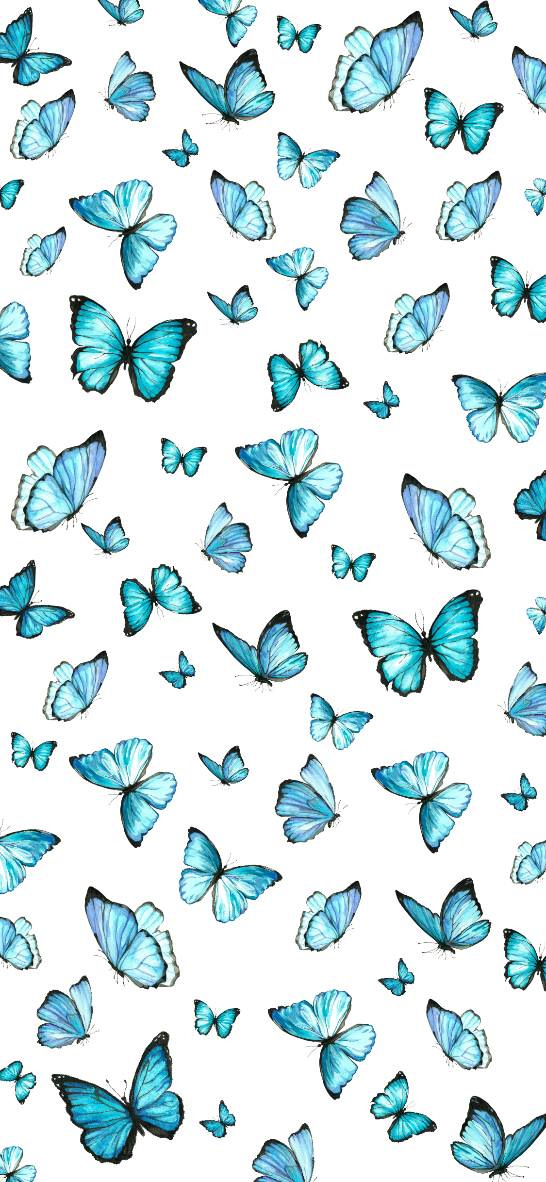 Yellow And Blue Butterfly Wallpapers