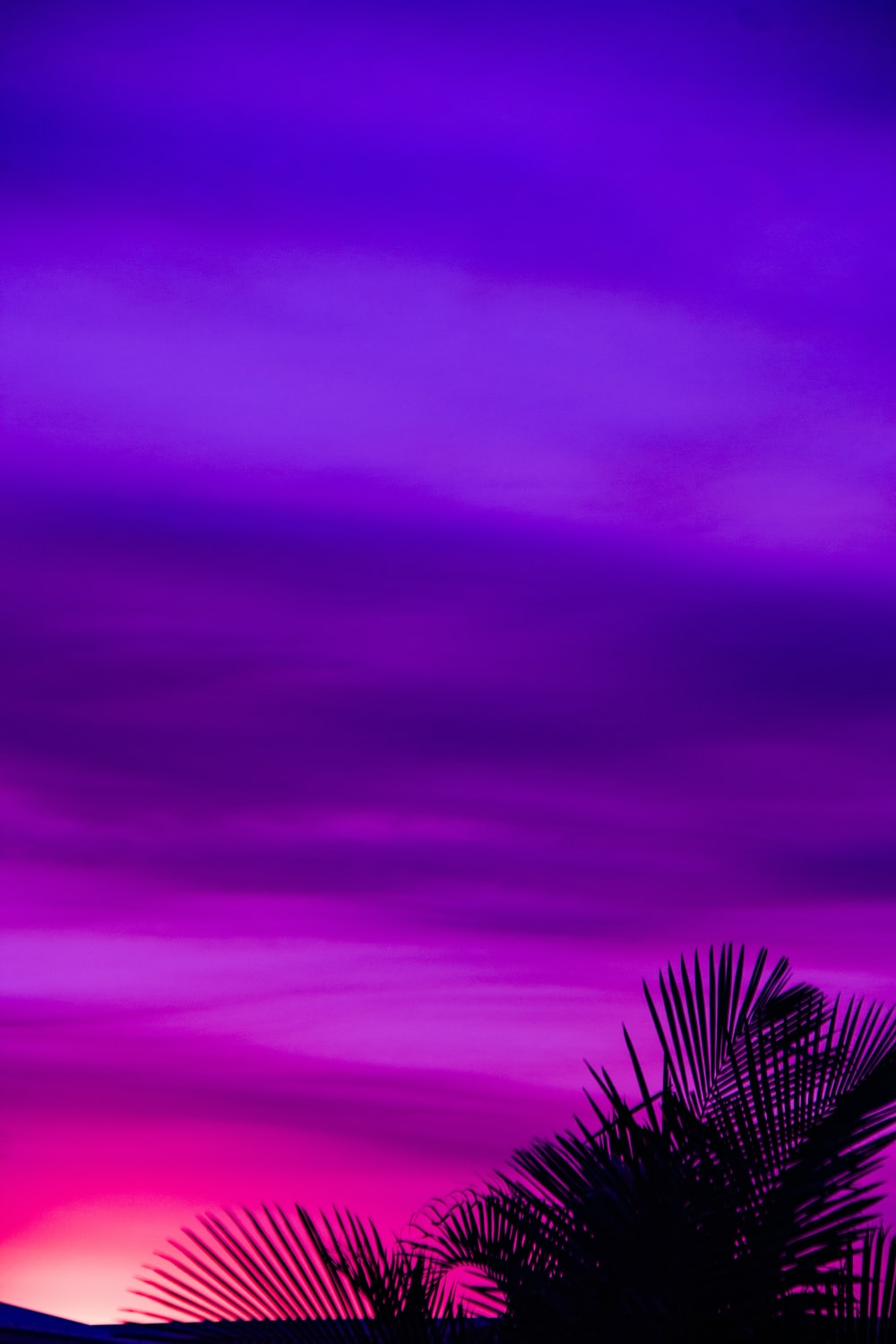 Yellow And Purple Aesthetic Wallpapers