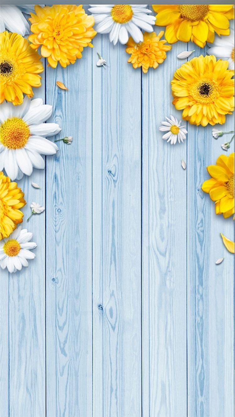 Yellow And White Flower Wallpapers