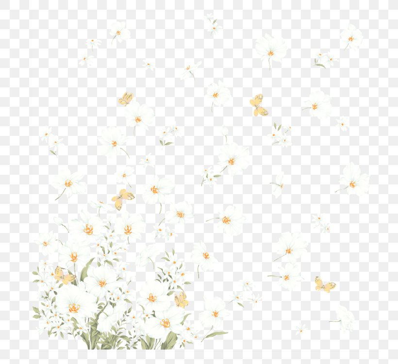 Yellow And White Flower Wallpapers