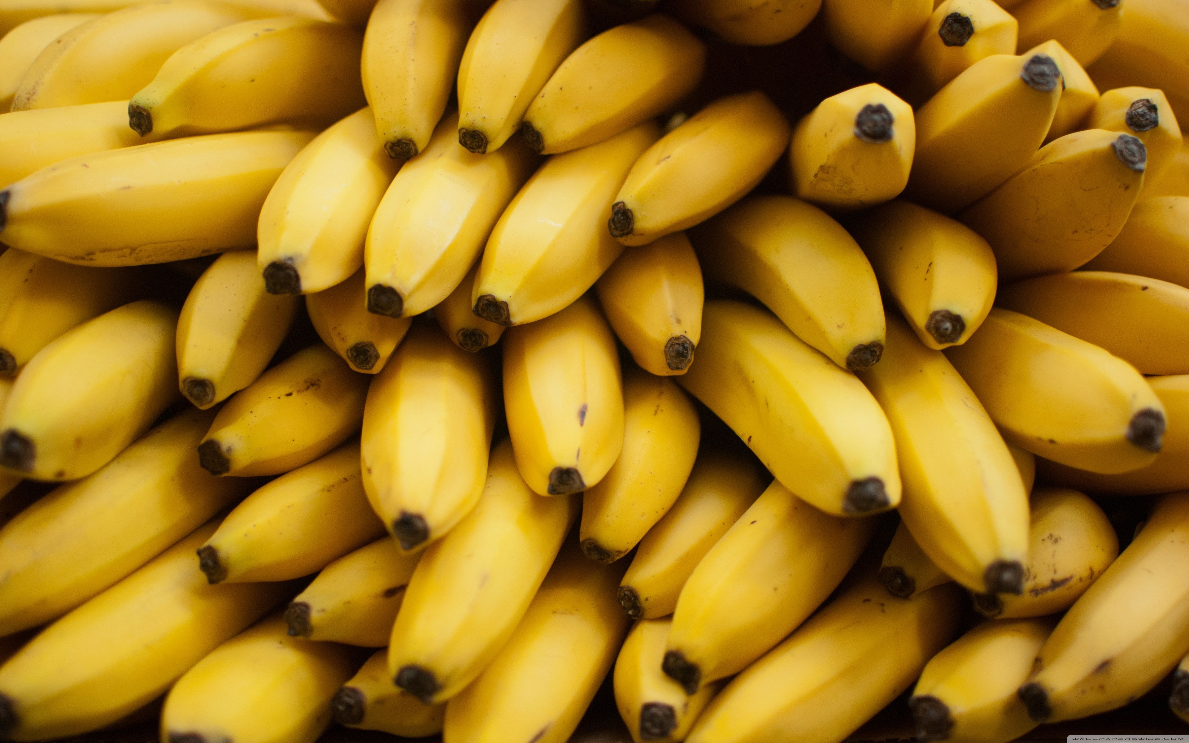 Yellow Banana Wallpapers