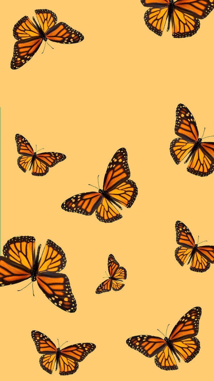 Yellow Butterfly Wallpapers