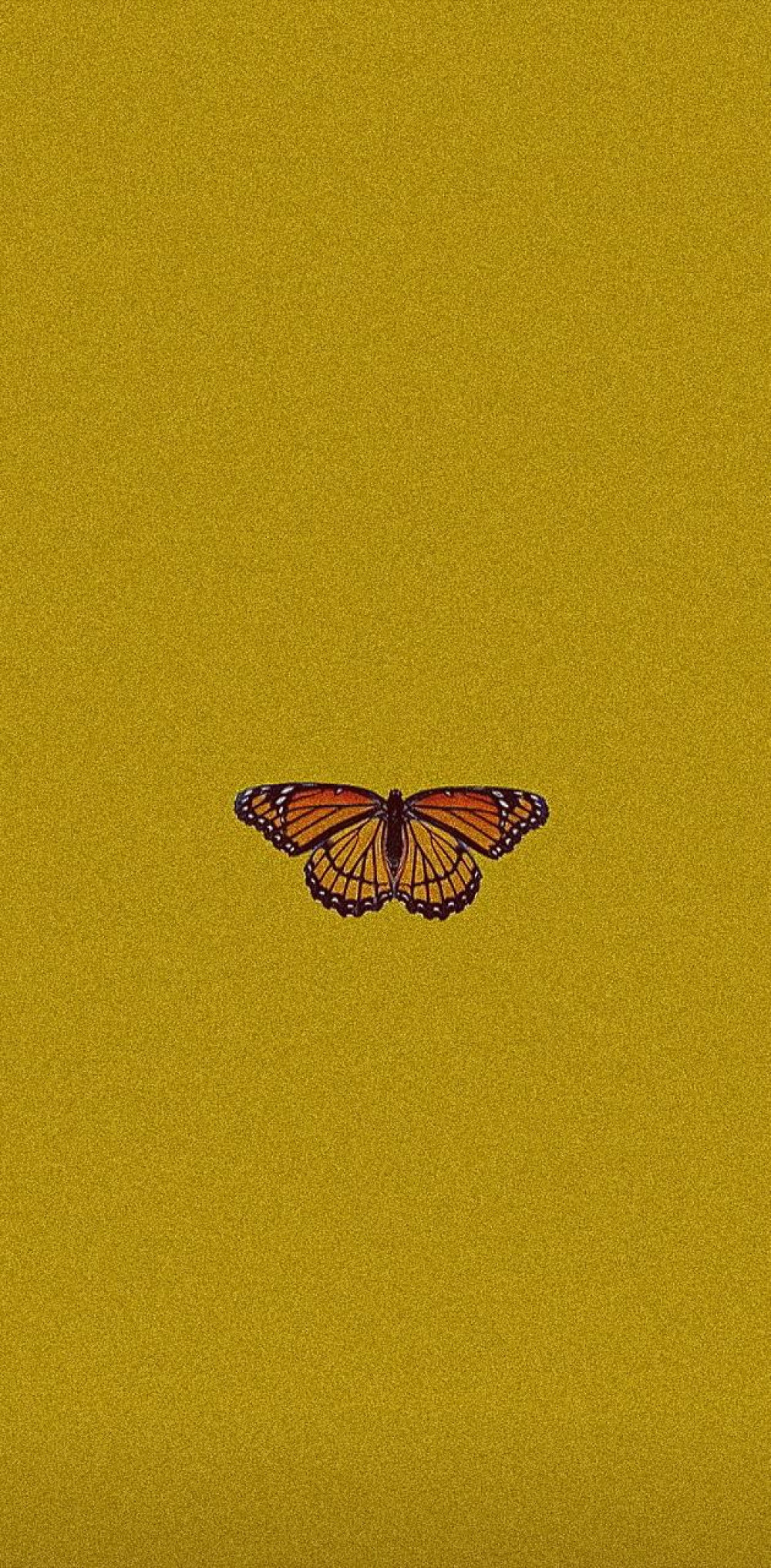 Yellow Butterfly Aesthetic Wallpapers