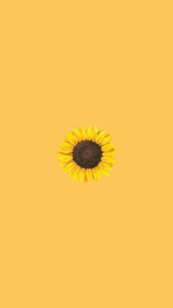 Yellow Cute Aesthetic Wallpapers