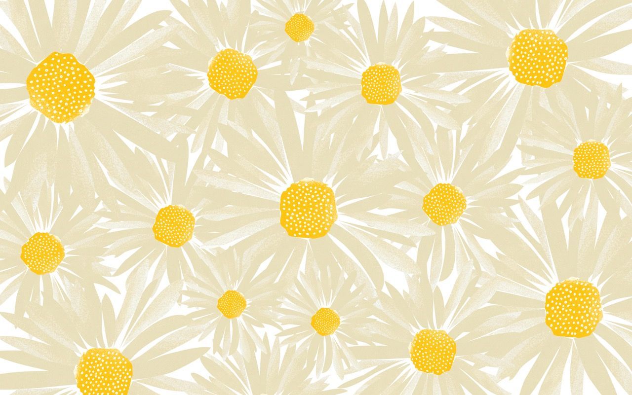 Yellow Daisy Wallpapers