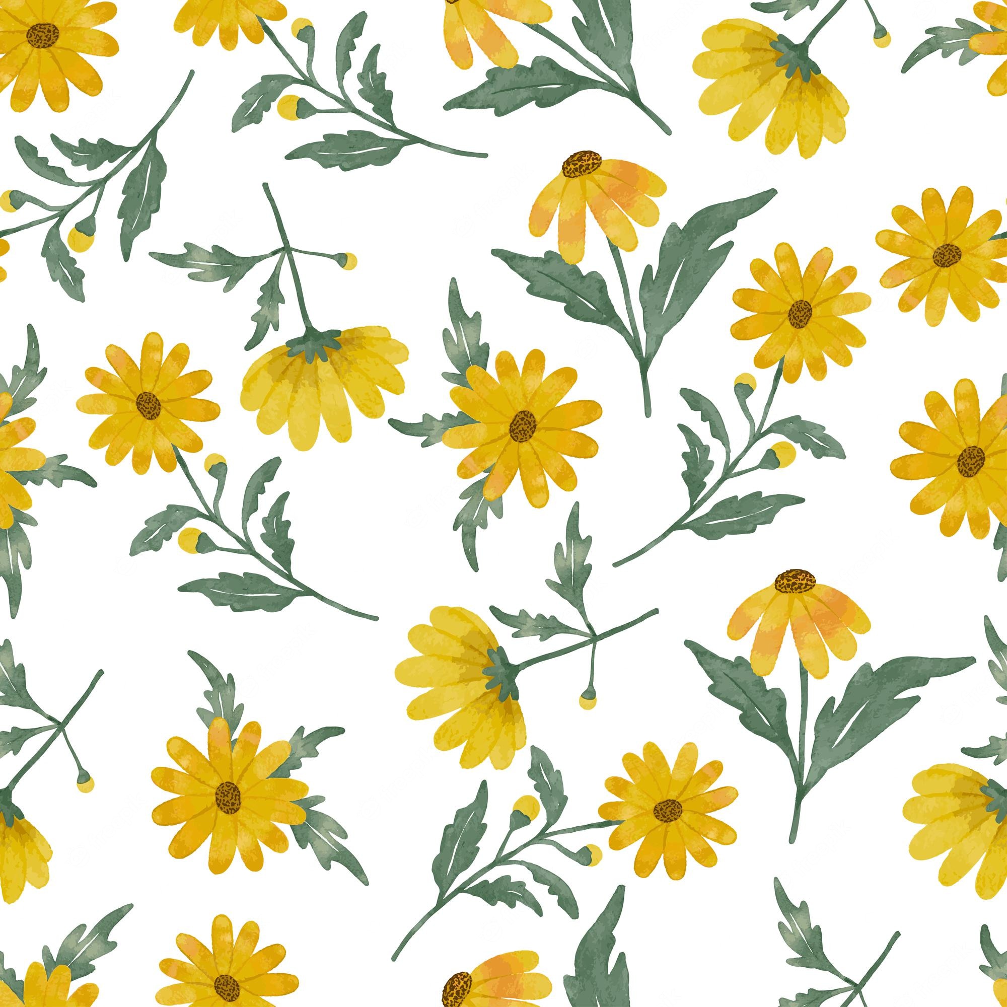 Yellow Daisy Flower Desktop Wallpapers
