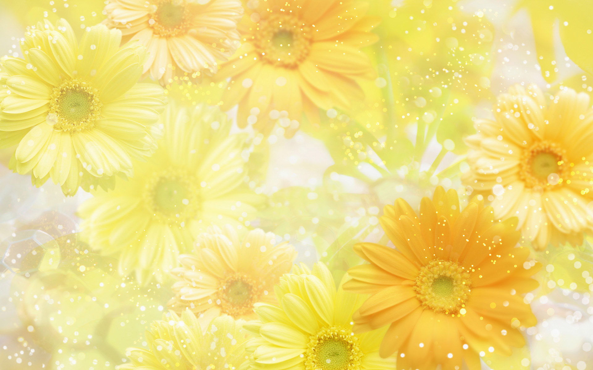 Yellow Desktop Wallpapers