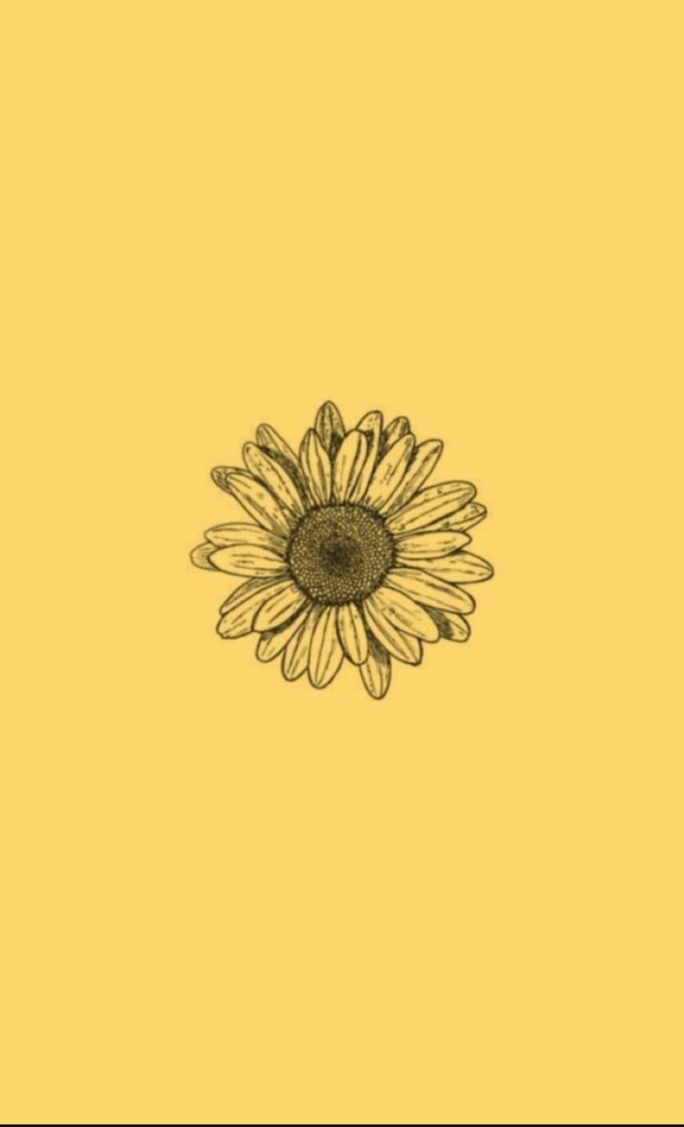 Yellow Flower Aesthetic Wallpapers